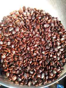 เมล็ดมะขามธรรมชาติคุณภาพสูง ดิบ ไม่ผ่านกระบวนการ สำหรับผลิตภัณฑ์สมุนไพร-บรรจุภัณฑ์แบบขายส่ง อายุการเก็บรักษา 12 เดือน ราคาดีที่สุด - Product Image 3