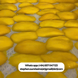 2024 High Quality Soft Dried Mango Slices Vietnam Bulk Vacuum <b>Pack</b> Water Preserved Sweet Taste Export WA Stephen 84857047123 - Product Image 5