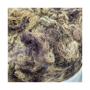 Algues marines de cotonni séchées au soleil naturelles, haute pureté, qualité stable, adaptées à la production et à l'exportation de carraghénane - Product Image 1