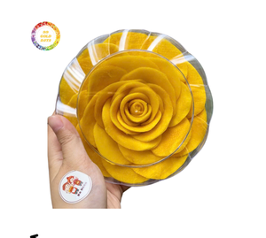 VIETNAM SOFT DRIED MANGO CHEWY SLICES NATURAL COLOR NO <b>PRESERVATIVES</b> WHOLESALE BULK EXPORT PRIVATE LABEL TROPICAL FRUIT - Product Image 3