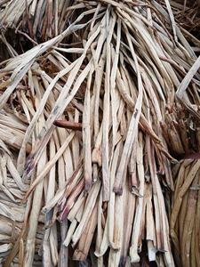 Vietnam Raw <b>Water</b> Hyacinth for Decoration, <b>Bulk</b> Supply, Natural, High Quality, Export-Ready/Eco-Friendly Raw <b>Water</b> Hyacinth - Product Image 5