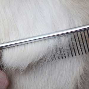 Peigne de toilettage pour animaux de compagnie en fourrure brillante, doux, avec des dents en acier, design anti-accrocs pour un soin du pelage sain et un contrôle de la perte de poils - Product Image 5