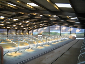 <span class=keywords><strong>Officina</strong></span> Prefabbricata in Struttura d'Acciaio, Edificio Industriale, Magazzino Prefabbricato - Product Image 5