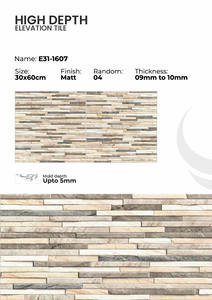 Carreaux muraux en porcelaine de 300x600 mm, série extérieure - Product Image 2
