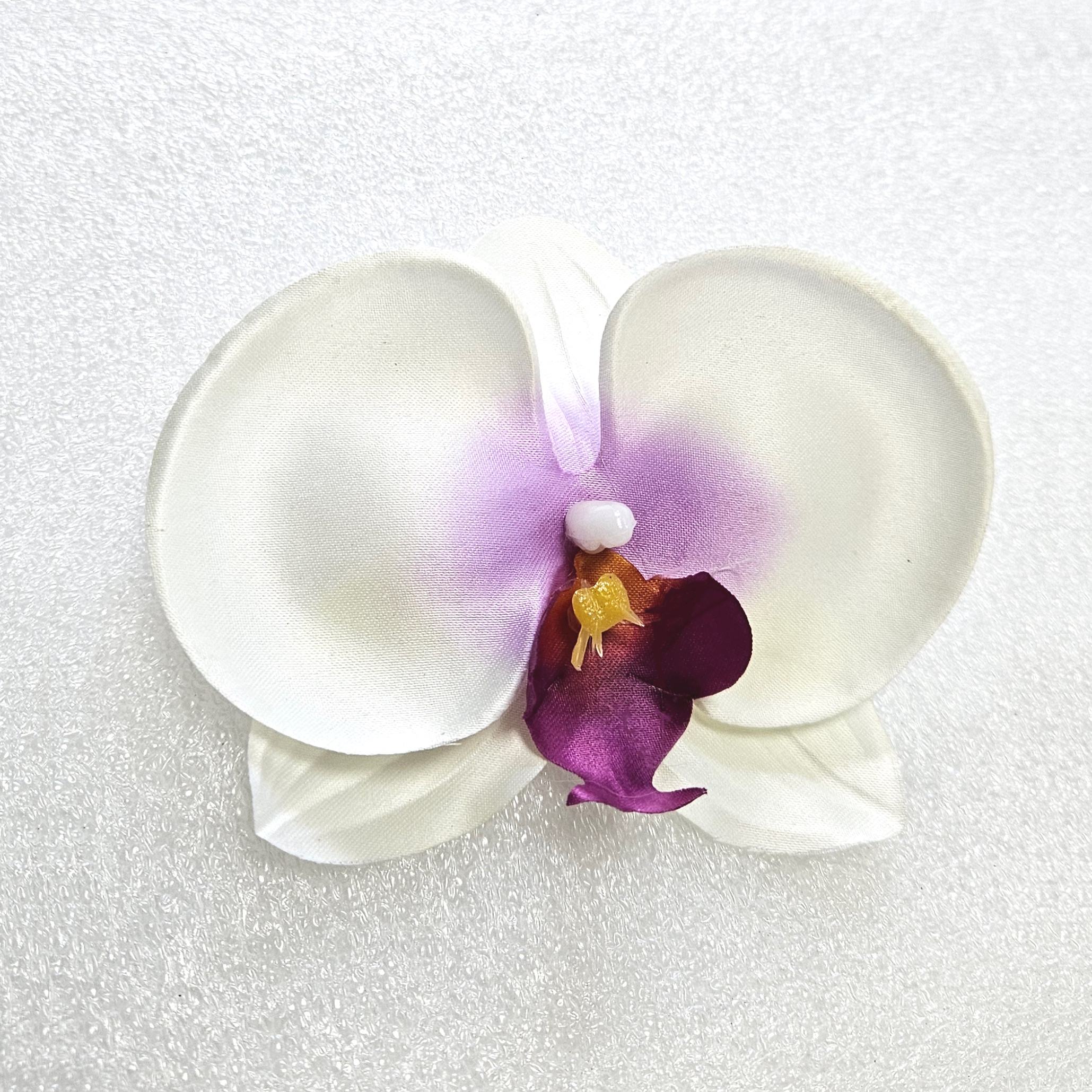 สีขาว/สีม่วง