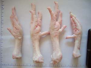 Patas de pollo frescas y congeladas disponibles a granel, ideales para cadenas de suministro de restaurantes - Product Image 4