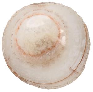 Bol en résine texturée beige naturel avec bord rugueux Pièce maîtresse de table décorative élégante faite à la main pour accent de décoration intérieure moderne - Product Image 2