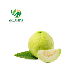 GOYAVE CONGELÉE, 100% FRUITS NATURELS DU VIETNAM MEILLEUR PRIX EN GROS - Product Image 5