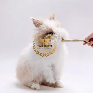 Takimex แท่งไม้ไผ่หวานสำหรับบดฟันของเล่นสำหรับฟันกรามของสัตว์เลี้ยงโดยตรงจากผู้จำหน่ายจากเวียดนาม - Product Image 2