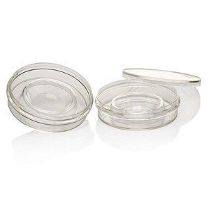 จานเพาะเลี้ยงเซลล์แบบ 24 หลุม สำหรับ Nunc พร้อมพื้นผิว TC หมายเลขสินค้า อุปกรณ์ห้องปฏิบัติการ 150260 - Product Image 1