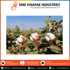 Algodón puro orgánico sin procesar, 100% algodón, importado de la India - Product Image 5