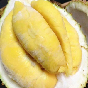 <b>Durian</b> Season in Vietnam - <b>Fresh</b> <b>Durian</b> Fruits for Sale <b>Fresh</b> <b>Durian</b> From Vietnam Quality Tropical Style GAP Weight Origin Type - Product Image 1