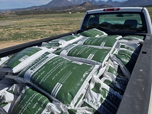 Pellets de Madera DIN PLUS / EN Plus-A1, Pellets de Madera al por Mayor en Europa, Pellets de Biomasa en Bolsas de Plástico de 15 kg - Product Image 6