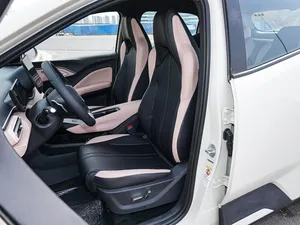 USED 2026 SEA-GULL 38.88 KWH I Restyling Low Mileage Automatic <b>Panoramic</b> Sunroof LED lights LED Daytime Lights 6 Seats Ready ShP - Product Image 3