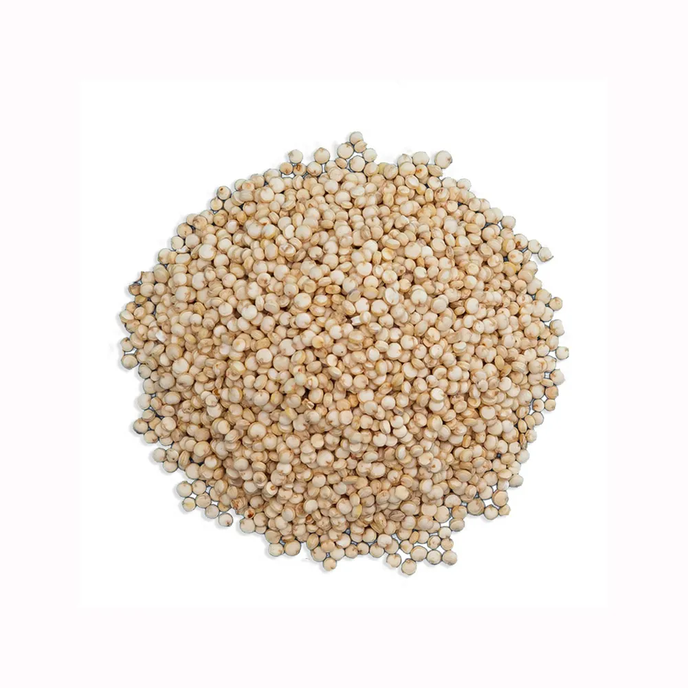 Fournisseur en gros de stock en vrac de semences biologiques fraîches Grains de quinoa blanc Grains de soins de santé