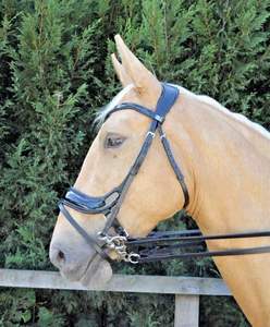 Bride à langer anatomique brevetée pour cheval en épi complet rembourré Cutback Poll Relief en cuir marron noir Design anatomique - Product Image 6