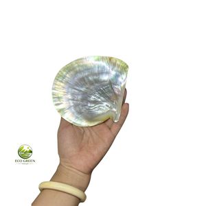 Assiette décorative ovale en nacre naturelle polie, plat en coquillage naturel, design rustique, écologique, plateau de service pour mariage - Product Image 4