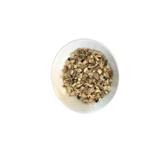 EXPORTADORES de Micelio de Champiñones Shiitake, Champiñones Porcini Silvestres, Champiñones Shiitake Cultivados Secos a Granel de Alta Calidad - Product Image 2