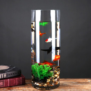 VCY0720 - Cylinder Glass <b>Vase</b> - 7 x 20 - Product Image 4