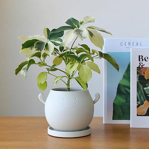 Pot Bunga Keramik Wajah Tersenyum Lucu dengan Alas, Pot Tanaman Hias Dalam Ruangan untuk Sukulen, Kaktus, Herbal, dan Dekorasi Rumah - Product Image 3