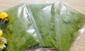 Polvo de hoja pura de hojas Pandan Premium 100% Natural 1kg envasado al vacío en bolsa - Product Image 3