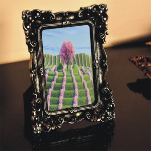 Spring <b>Metal</b> <b>Photo</b> <b>Frame</b> with Customized Color & Size Eco-Friendly High Quality for Elegant Home Decor and Artistic Display - Product Image 1