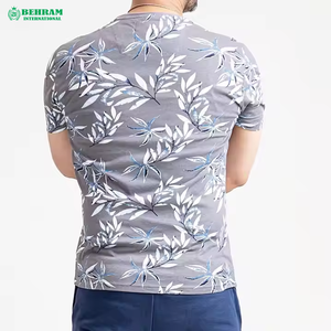 T-shirts d'été pour hommes à manches courtes et col rond, 100 % coton, coupe ample, écologiques, séchage rapide, décontractés - Product Image 2