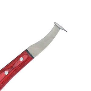 Couteau à sabot avec logo personnalisé Outil de qualité supérieure pour les agriculteurs et les vétérinaires pour prendre soin des sabots d'animaux - Product Image 3