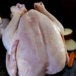 Poulet entier congelé halal de qualité supérieure, qualité brésilienne, poulet entier congelé halal et morceaux, poulet entier congelé halal - Product Image 6
