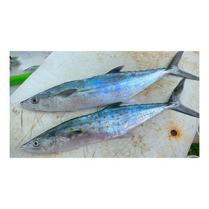 Camarones españoles de calidad a precio económico, disponibles para el cumplimiento constante de pedidos al por mayor - Product Image 6