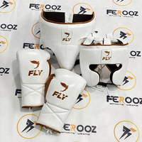 Set Tinju Profesional FLY Terbaru, Set Latihan Sparring Pro, Tahan Lama, Nyaman, Kulit Sapi Asli, Bernapas