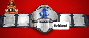 เข็มขัดแชมป์มวยปล้ำรุ่นจูเนียร์เฮฟวี่เวท WWC ผลิตจากโลหะผสมสังกะสี สวมใส่สบาย เอวสูง ระบายอากาศได้ดี ขนาด 2 มม. 4 มม. สำหรับผู้ใหญ่ - Product Image 3