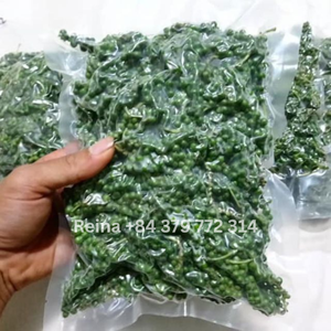Pimienta Verde en Grano IQF, Especia Fresca Natural y Congelada en su Máxima Calidad - Product Image 3