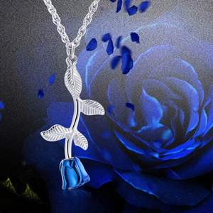 Collar de urna de cremación azul para cenizas, joyería de cremación de flores, colgante de acero inoxidable para mujeres y hombres, tamaño personalizado conmemorativo humano - Product Image 5