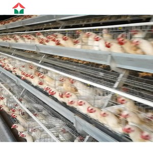 Fabricante Chino <span class=keywords><strong>de</strong></span> Gallineros para la Cría <span class=keywords><strong>de</strong></span> Aves <span class=keywords><strong>de</strong></span> Corral - Product Image 2