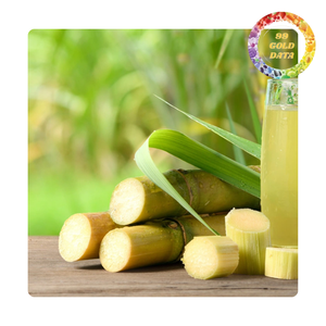 Bâtonnets de canne à sucre congelés du Viet Nam | Pour jus frais et fruits | Approvisionnement en vrac - Product Image 6