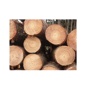 Troncos de madera de pino descortezado: madera para pulpa, biomasa y producción de energía - Product Image 2