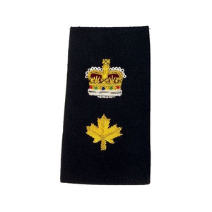 Accesorios de uniforme de piloto profesional, par de insignias de hombro de charreteras bordadas personalizadas para uniformes de aerolínea - Product Image 4