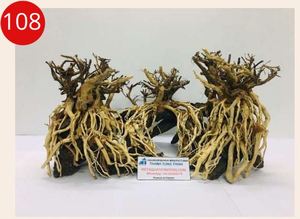 Nouvel article 2025 bois flotté de bonsaï aquatique pour centre de reptiles, décor de réservoir de tortue d'aquarium de réservoir de poissons - Product Image 3