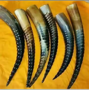 Nouvelle conception sculptée de corne à boire Viking la plus vendue avec logo Corne à boire Viking authentique par artisanat en croissant - Product Image 3