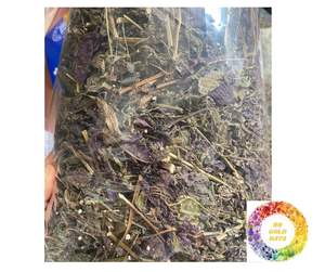 Feuilles de périlla de qualité supérieure pour le commerce: Shiso vert de la meilleure qualité et feuilles de périlla séchées Britton à des tarifs compétitifs pour la vente en gros - Product Image 3