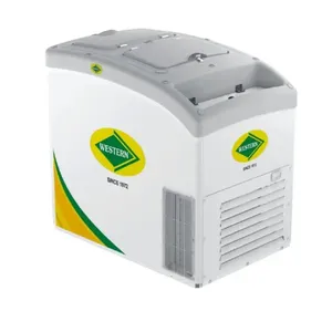 Congelador comercial de calidad superior G300H220, fabricante directo de venta caliente, congelador eléctrico profesional de alta demanda de India - Product Image 1