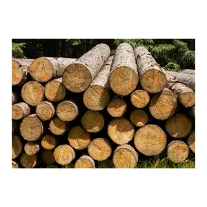 Wholesale Custom 100% raw Pine Wood Logs Best Price High Quality Teak wood round logs for sale Made In Vietnam