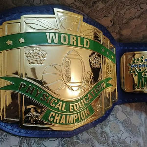 Ceintures de championnat personnalisées, trophées, médailles et récompenses, le symbole ultime de la victoire et de l'excellence, ceintures de championnat - Product Image 1