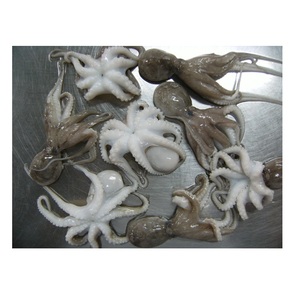 Pulpo Bebé Congelado y Sazonado, Pulpo Bebé Fresco Congelado en Venta - Product Image 6