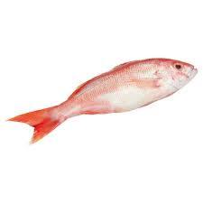 Poisson de dorade rouge congelé nutritif disponible - Product Image 4