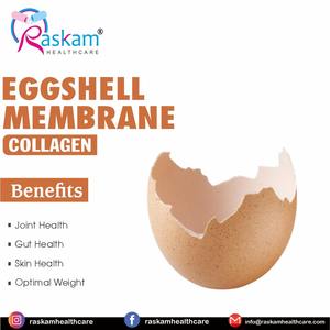 Extracto de membrana de cáscara de huevo de alta calidad OEM/ODM, colágeno de etiqueta privada para adultos, no para mujeres embarazadas - Product Image 2