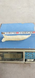 Vessie de poisson séchée de haute qualité du Vietnam, vessie de poisson nettoyée, exportation - Product Image 2