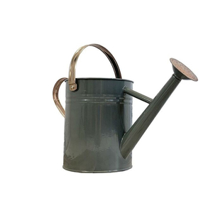 Dernière nouvelle conception de haute qualité en métal fer nouvelle finition arrosoirs en gros de fabricants et exportateurs indiens - Product Image 1