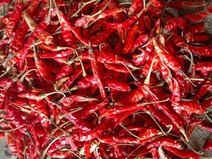 Piment rouge séché-Piment séché naturel de l'usine dirigée au Vietnam pour la cuisson d'épices et d'herbes. - Product Image 4